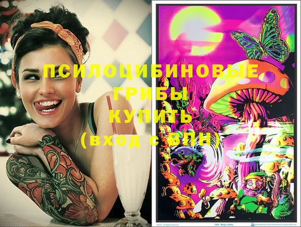 хмурый Волосово