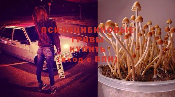 дурь Вязьма