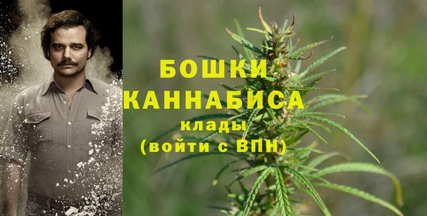 хмурый Волосово