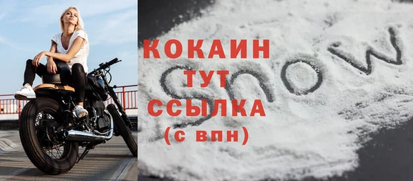 кокс Вяземский