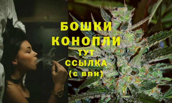 кокс Вяземский