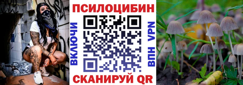 Псилоцибиновые грибы GOLDEN TEACHER  купить наркотик  Кандалакша 